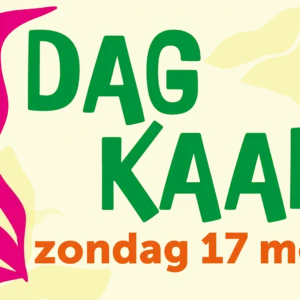 dagkaart